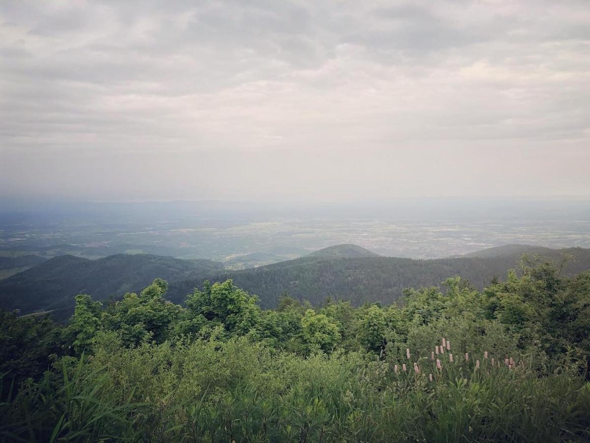 Schwarzwald Wohnung Kniebis Freudenstadt Buitenkant foto